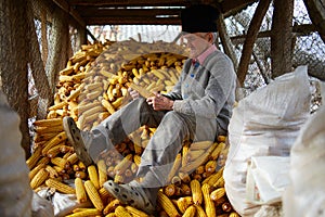 Old farmer in his maize barn