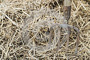 Old farmer's Pitchfork