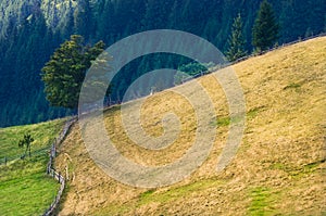 An old farmer's wooden house stands on an elephant mountain near a haystack against the backdrop of mountain peaks