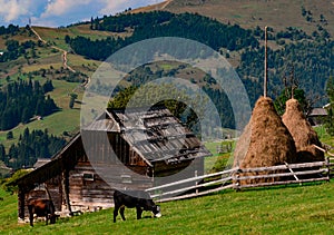 An old farmer's wooden house stands on an elephant mountain near a haystack against the backdrop of mountains