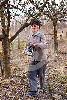 Old farmer trimming apple trees