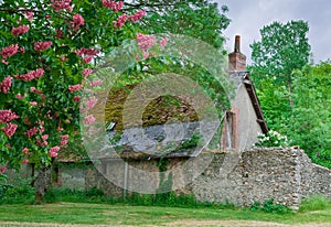 Old Farmhouse photo