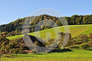 Old farmhouse in the Black Forest, Germany, Glottertal