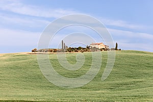 An old farmhouse with cypresses and plantation surrounded by carefully cultivated Tuscan hills in summer
