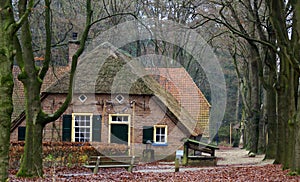 Old farmhouse on the dutch countryside