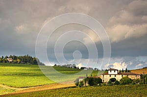 Old Farmhouse with rows of wineyard in autumn in tuscany