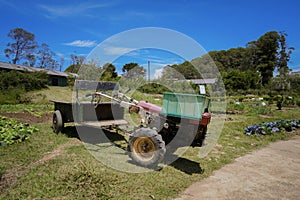 Old Farming Truck in The Garden