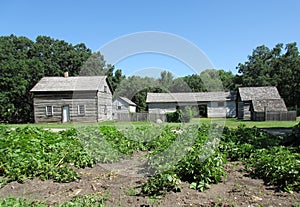 Old Farmstead photo