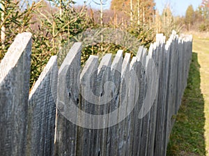 Old farmyard fence