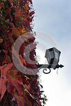 Old fashion lantern surrouded with red leaves at autumn, Kalemegdan fortress in Belgrade