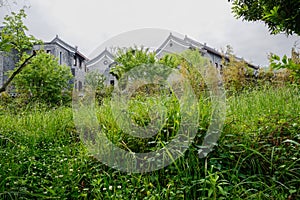 Old-fashioned buildings behind weeds in cloudy spring morning