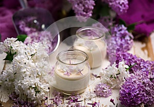 OLD-FASHIONED CREAMY DESSERT HONEY LILAC POSSET