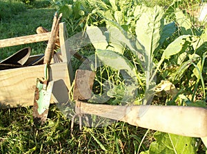 Old fashioned gardening tools