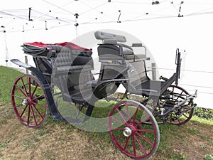 Old-fashioned horse carriage on green grass