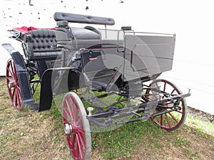 Old-fashioned horse carriage on green grass