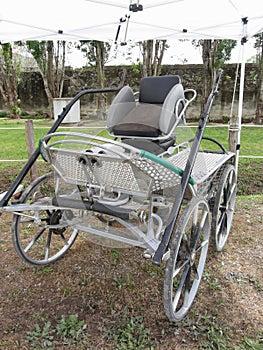 Old-fashioned horse carriage with green grass background