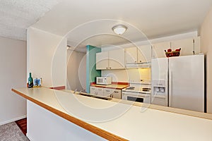 Old fashioned kitchen interior of American Apartment Condominium.