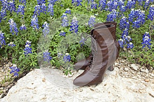 Old fashioned ladies' shoes with Texas bluebonnets