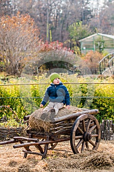 Old-fashioned little boy sitting at a vintage wooden carriage