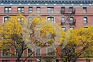 Old fashioned New York apartment building with ornate window frames