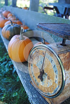 Old Fashioned Scale and Pumpkins