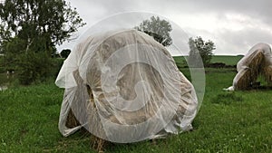 An old-fashioned stack of straw with a plastic drape over it blowing in the wind