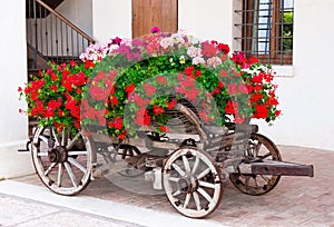 Old-fashioned trolley with geranium