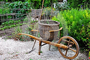 An old-fashioned wheelbarrow with a wicker basket stands in a green cottage garden