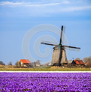 Old fashioned windmill in Netherlands