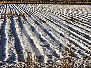 Old Fashioned Winter Farm Furrows