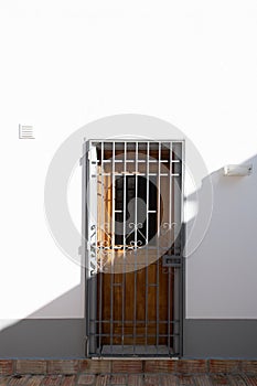 Old fashioned wooden door with a metal security grill