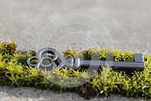 Old fashoned pewter key laying on green moss photo