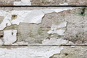 Old fence boards with white paint flaking off