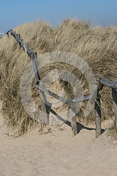 Old fence in the dunes of the North sea