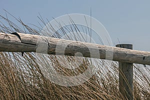 Old fence in the dunes of the North sea