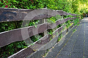 Old fence of horizontal wooden boards separates shrubs and trees from a stone tile pavement, on a spring day.