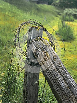 Old Fence Post with Barbed Wire