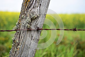 Old Fence Post and Barbed Wire