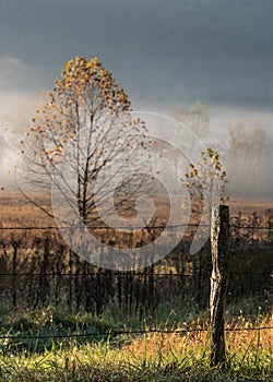 Old Fence Post in Foggy Valley