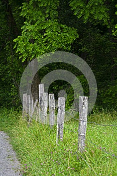 Old Fence Posts In The Smoky Mountains