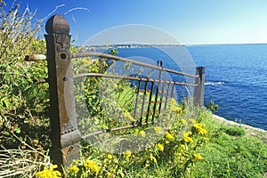 Old fence ruins, Newport, RI