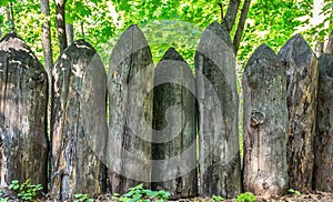 Old fence of sharpened logs in the forest