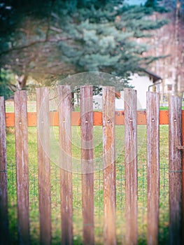 Old fence with tree in the background