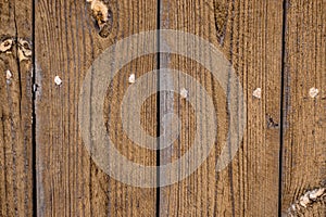 The of the old fence with vertical boards, light-brown faded color, knots on the pine boards