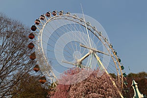 An old ferris wheel in Everland park