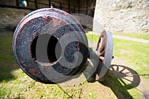 Old field cannon