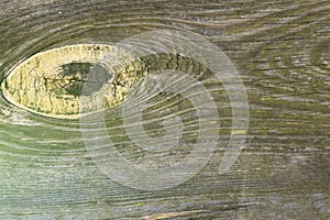 Old filthy pine board with cracks and knot, covered dark green paint collapsed partly