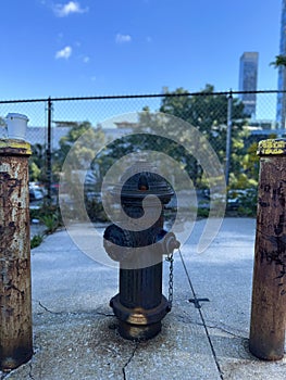 Old Fire Hydrant, NY, USA