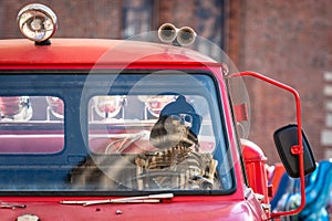 At the old fire truck, a human skeleton with a fireman helmet is