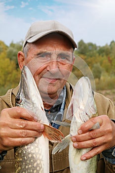 Old fisherman and his catch - zander and pike